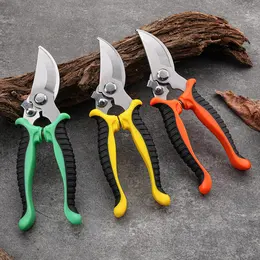 Product image of Pruning Shears Set for Fruit Tree and Shrub Maintenance