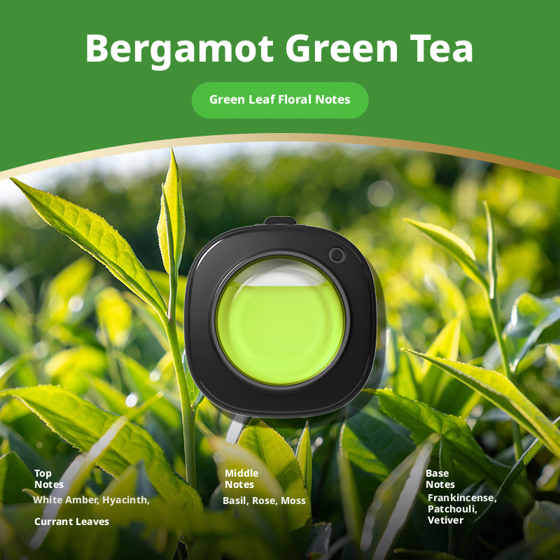 Main product image of Car Air Vent Aromatherapy Diffuser, Bergamot Tea Scent, 1 Piece