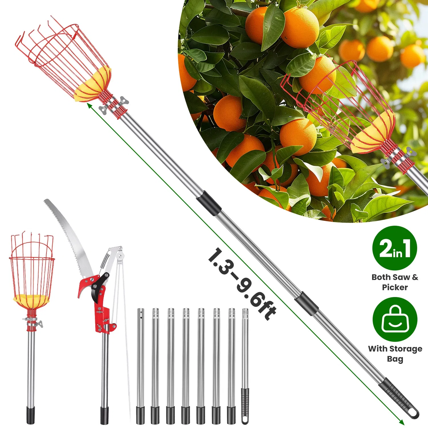 Main product image of Extendable Pole Saw and Fruit Picker, Stainless Steel