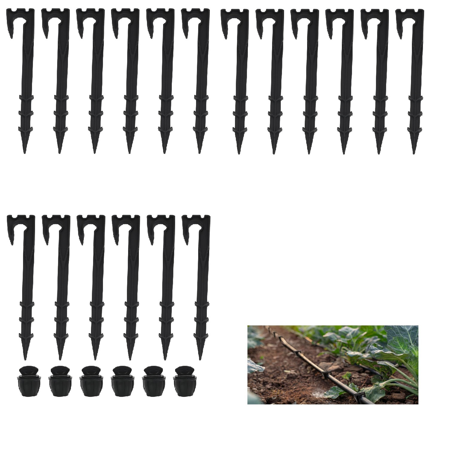 Main product image of 50-Piece Plastic Tent Pegs, 20 cm, with 6 Garden Hose Stoppers