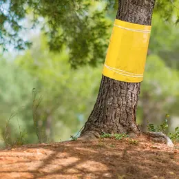 Product image of 25 cm x 10 m Self-Adhesive Weather-Resistant Tree Trunk Sleeve