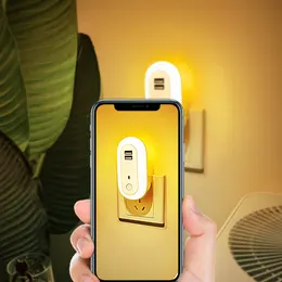 Product image of Oval Night Lamp with Dual USB Charging Port, Remote Control, Timer