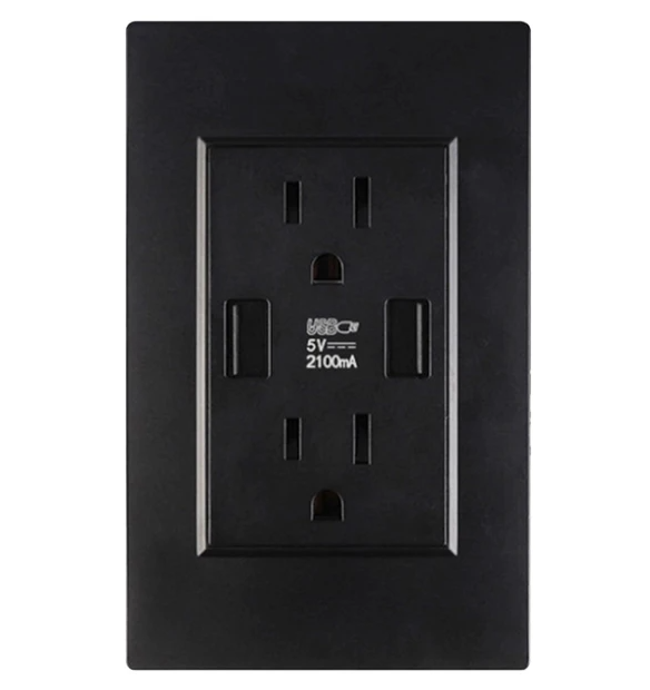 Main product image of 15A Dual USB Wall Receptacle, 110V AC Outlet