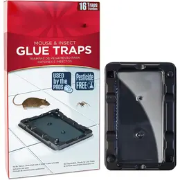 Product image of Indoor Adhesive Mouse and Insect Glue Traps