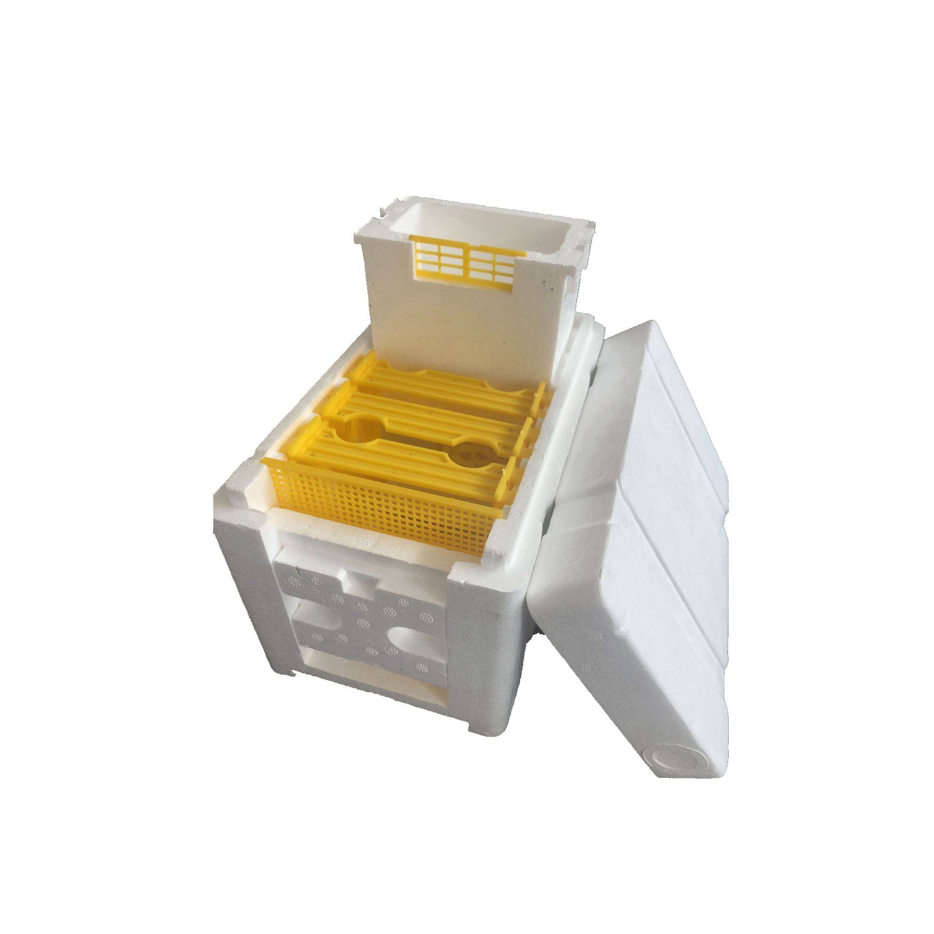 Main product image of Queen Bee Mating Box and Pollination Tool Set
