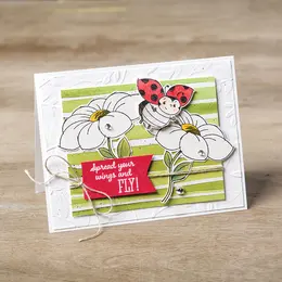 Product image of Embossing Cutting Die for Leather and Craft Materials