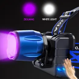 Product image of Scorpion Strong Rechargeable Headlight, Purple Beam