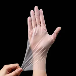 Product image of Disposable TPE Gloves, Large, 100 per Box