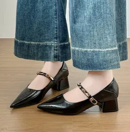 Product image of Women's Pointed Toe Block Heel Mary Janes, Metal Strap