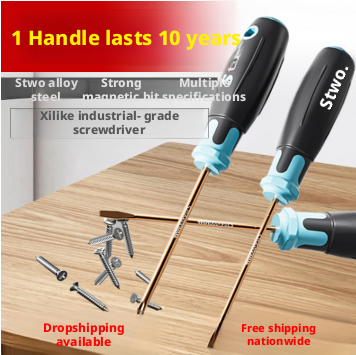 Main product image of Magnetic HSS Phillips & Slotted Screwdriver Set, 6 Inch, 2 Pcs