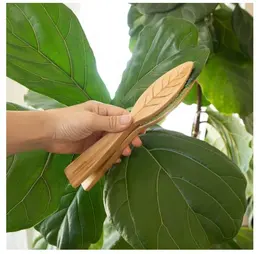 Product image of Leaf Cleaning Brush for Outdoor Surface Maintenance