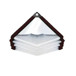 Product image of 2M x 4M Transparent Heavy-Duty Canopy Tarp with Grommets