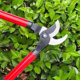 Product image of Pruning Shears, High Reach, for Fruit Tree Branches