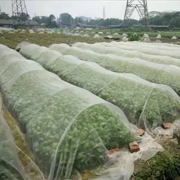 Product image of Nylon Netting For Bird And Insect Protection In Vegetable Greenhouses