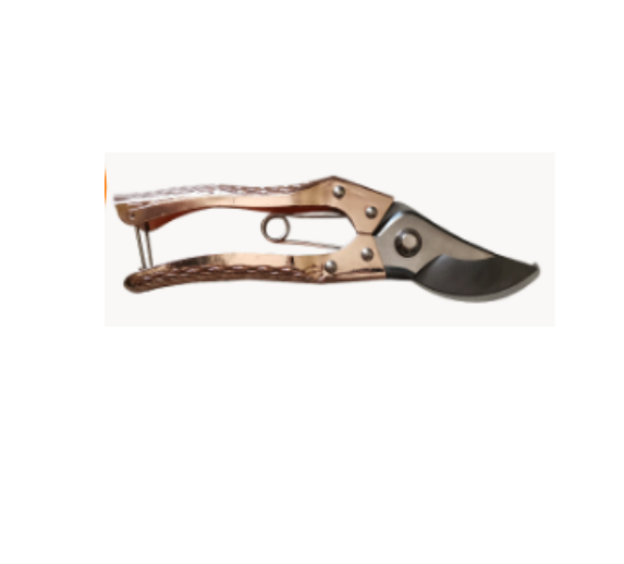 Main product image of Garden Pruning Shears, Rose Gold Stainless Steel, Model 1