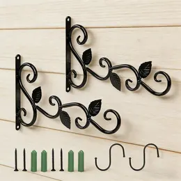 Product image of Plant Holder Hooks Set, 2 Plant Hooks, 2 Black S-Hooks, Screws