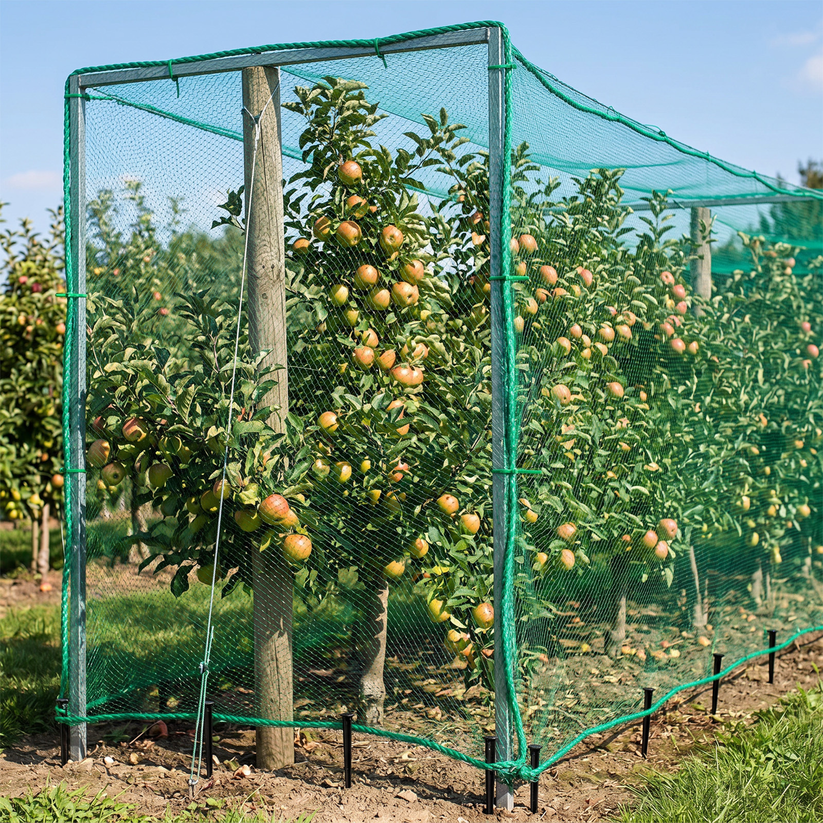 Main product image of Fruit Tree Protective Netting Kit with Stakes and Straps