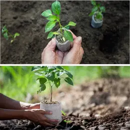 Product image of 600 Non-Woven Planting Bags, 6 Sizes, for Seedlings and Plants