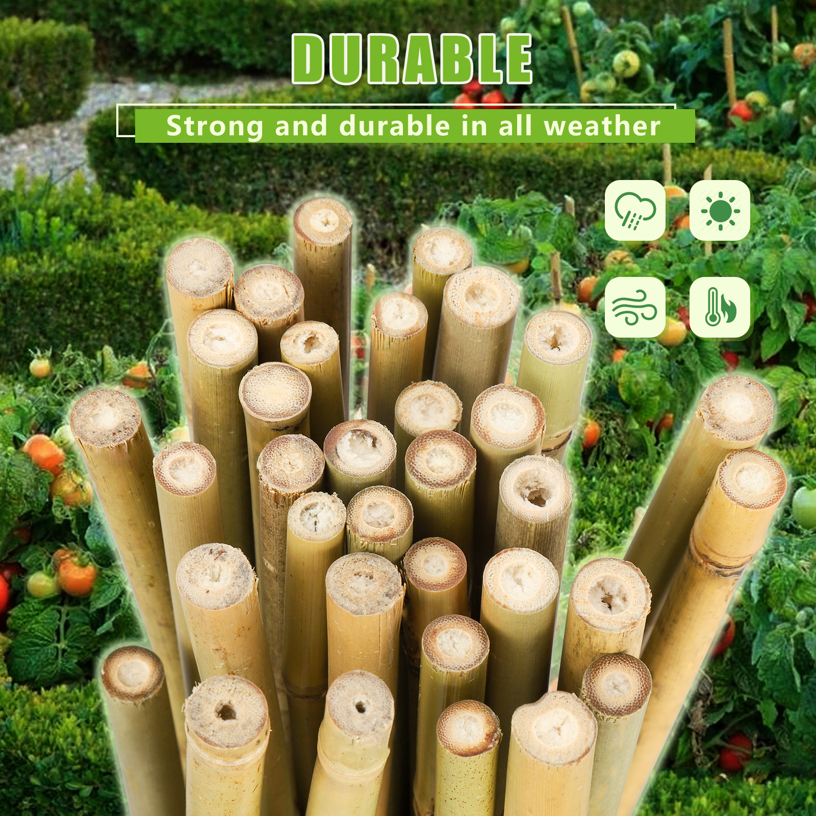 Main product image of 4FT, 8-10mm Diameter Natural Bamboo Plant Stakes, 25 pcs