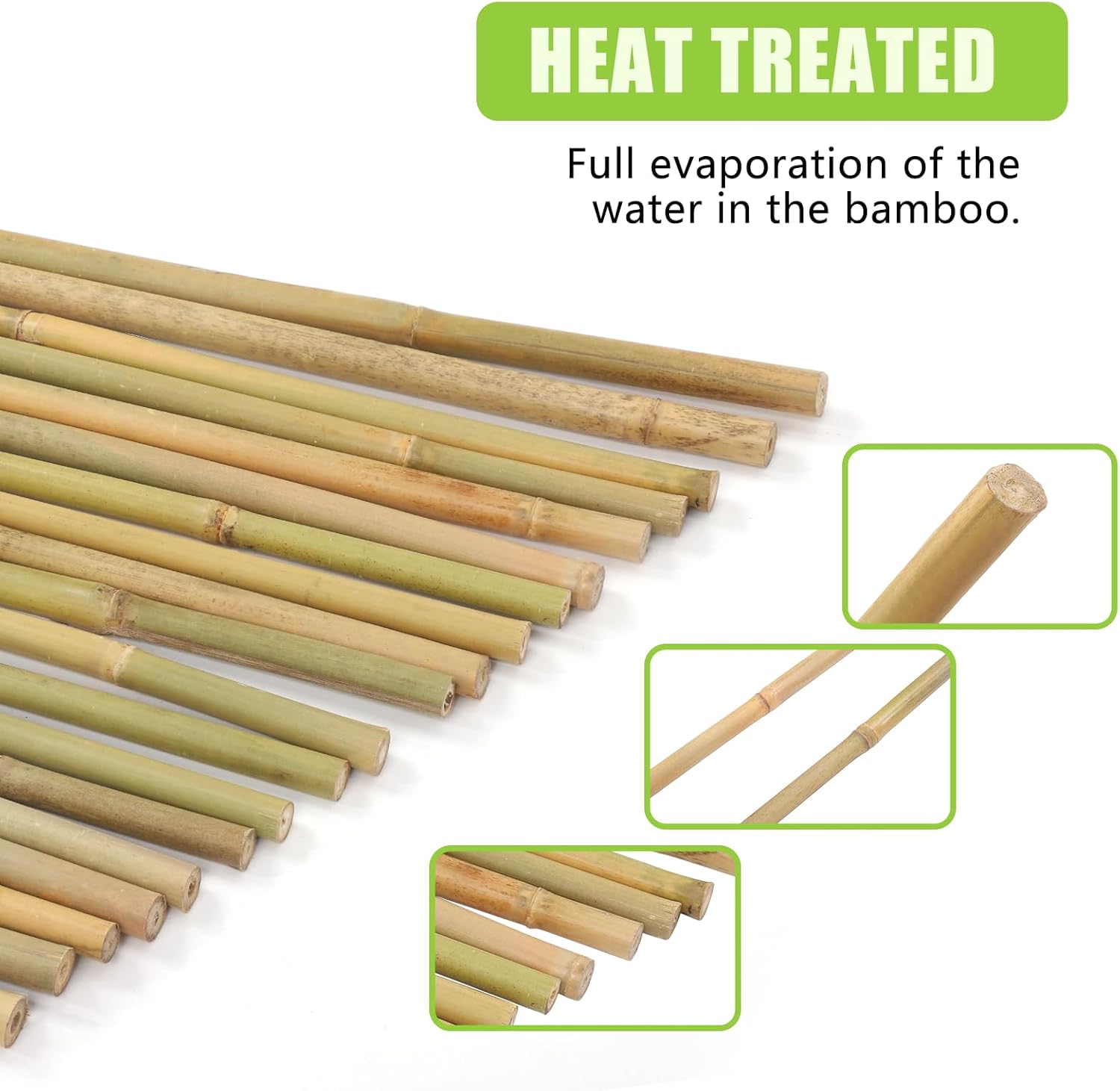 Main product image of Bamboo Plant Stakes, 5 FT, 8-10mm Diameter, 20 Pack
