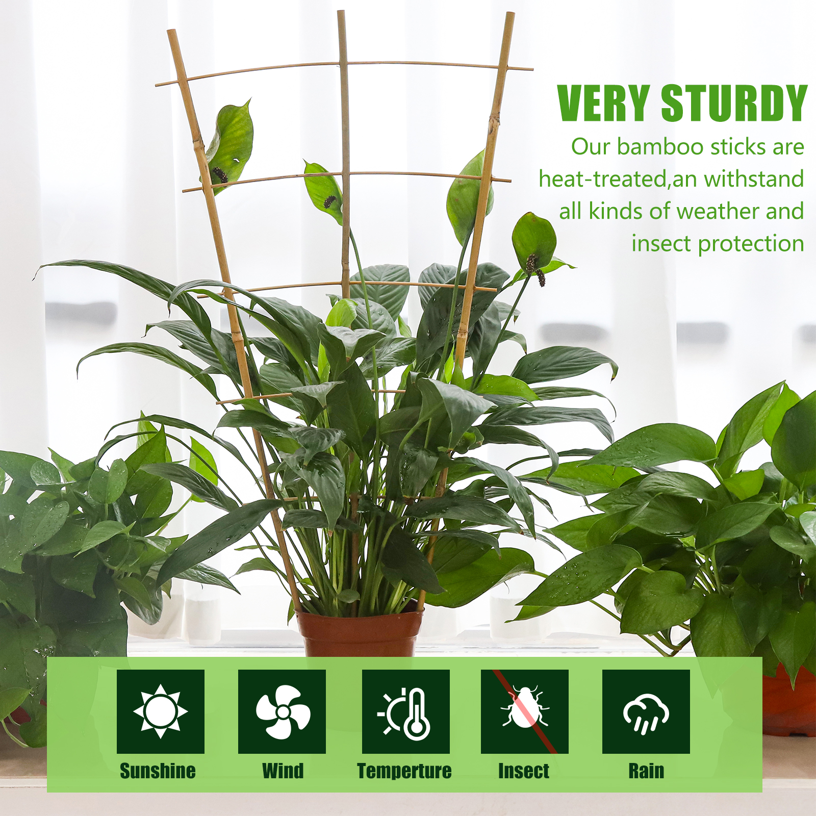 Main product image of 24 Inch Bamboo Plant Trellis, 3 Pack, for Climbing Plants