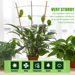 Product image of 24 Inch Bamboo Plant Trellis, 3 Pack, for Climbing Plants