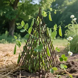 Product image of 5FT Natural Willow Expandable Teepee Trellis