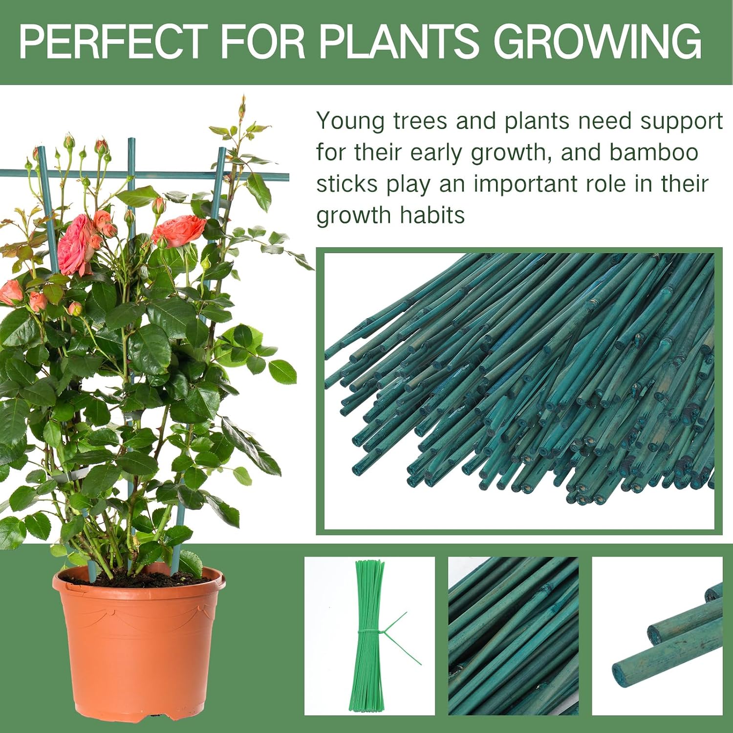 Main product image of 3FT Green Dyed Bamboo Stakes with Twist Ties for Plant Support, 25-Pack