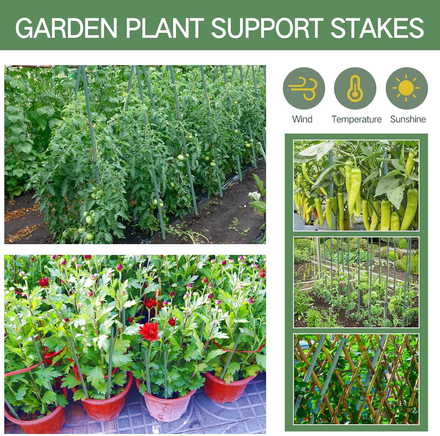 Main product image of 4FT Green Dyed Bamboo Plant Support Stakes, 25 pcs