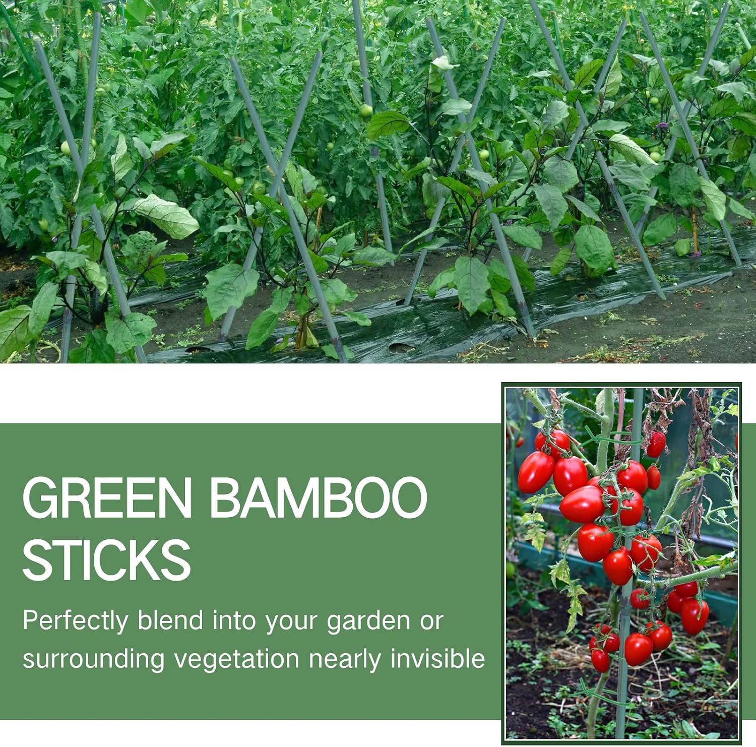 Main product image of 5FT Green Dyed Bamboo Stakes, 25pcs, with Twist Ties