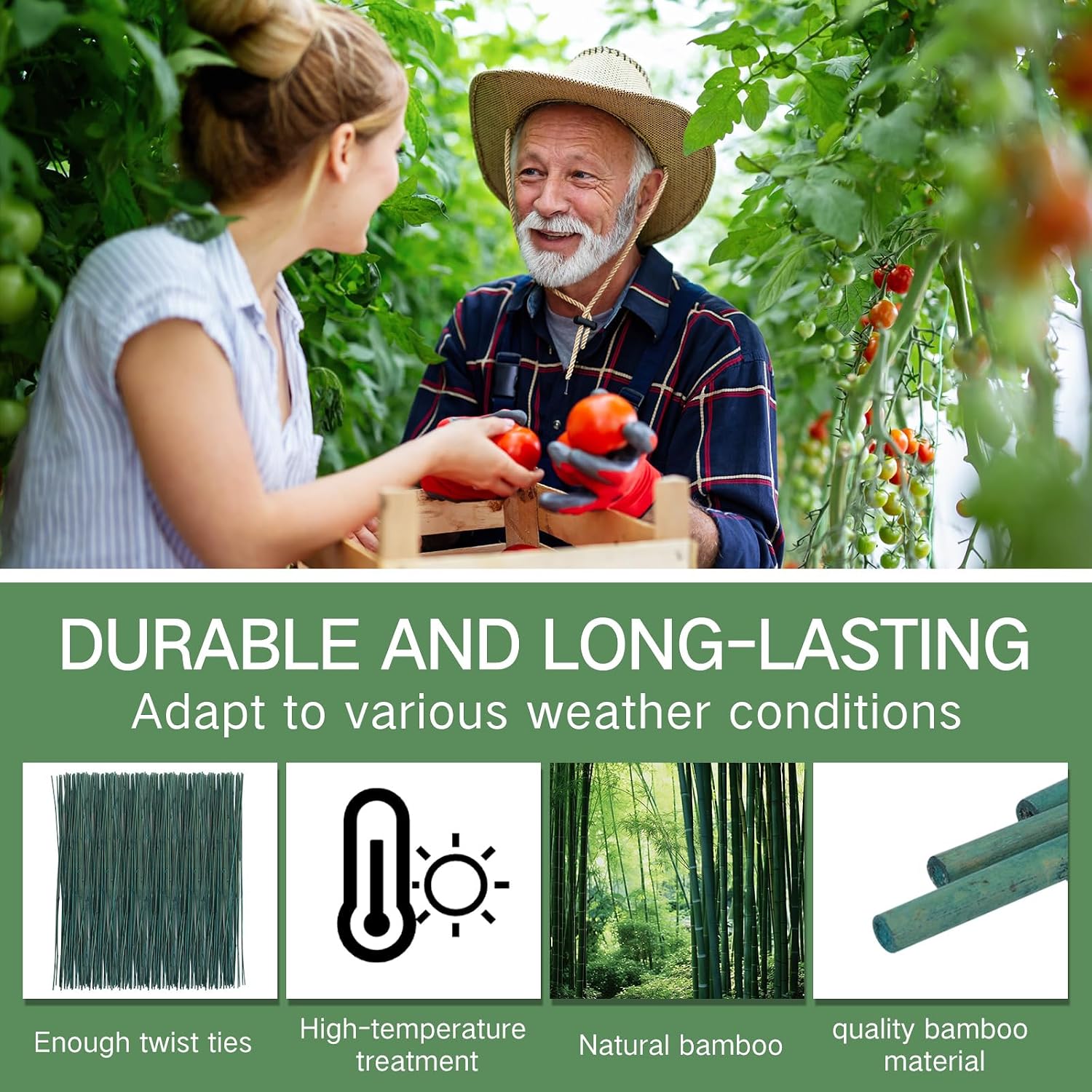 Main product image of 6FT Green Dyed Bamboo Stakes for Plant Support, 25 Pieces