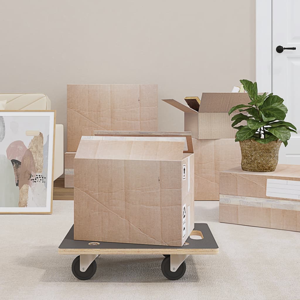 Main product image of Rectangular Transport Trolley, 2-Pack, 50x35x11.5 cm